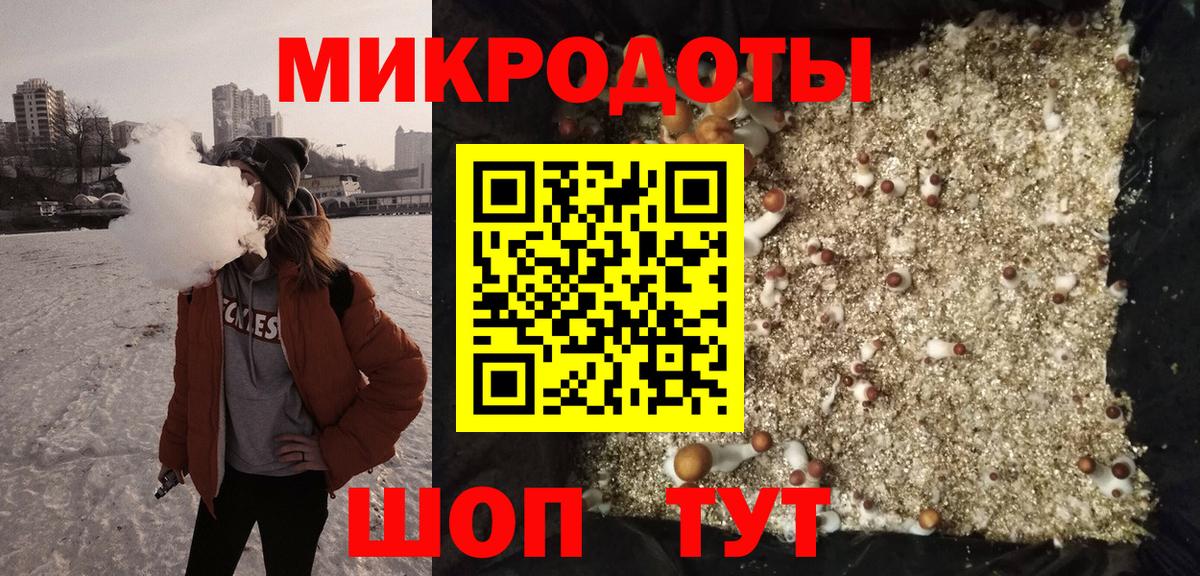 Галлюциногенные грибы Psilocybine cubensis Знаменск