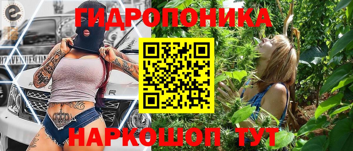 Конопля Bruce Banner Знаменск